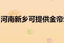河南新鄉(xiāng)可提供金帝燃氣灶維修服務(wù)地址在哪