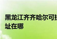 黑龍江齊齊哈爾可提供林內熱水器維修服務地址在哪