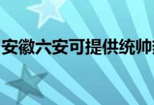 安徽六安可提供統(tǒng)帥熱水器維修服務(wù)地址在哪