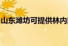 山東濰坊可提供林內熱水器維修服務地址在哪