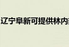 遼寧阜新可提供林內熱水器維修服務地址在哪