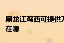 黑龍江雞西可提供萬家樂熱水器維修服務(wù)地址在哪
