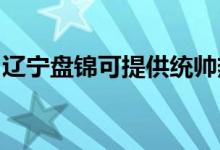 遼寧盤錦可提供統(tǒng)帥熱水器維修服務(wù)地址在哪