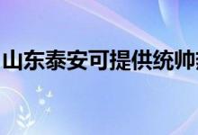 山東泰安可提供統(tǒng)帥熱水器維修服務(wù)地址在哪
