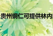 貴州銅仁可提供林內熱水器維修服務地址在哪