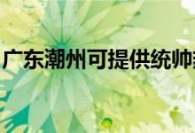廣東潮州可提供統(tǒng)帥熱水器維修服務(wù)地址在哪