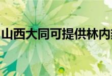 山西大同可提供林內熱水器維修服務地址在哪