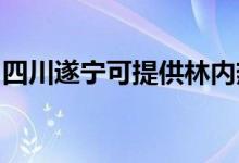四川遂寧可提供林內熱水器維修服務地址在哪