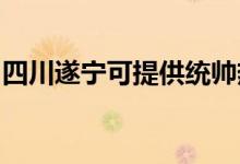 四川遂寧可提供統(tǒng)帥熱水器維修服務(wù)地址在哪