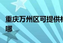 重慶萬州區(qū)可提供林內熱水器維修服務地址在哪