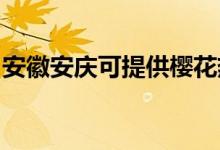 安徽安慶可提供櫻花熱水器維修服務(wù)地址在哪