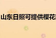 山東日照可提供櫻花熱水器維修服務(wù)地址在哪