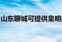 山東聊城可提供皇明熱水器維修服務地址在哪