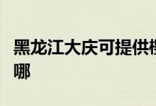 黑龍江大慶可提供櫻花熱水器維修服務(wù)地址在哪