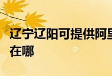 遼寧遼陽(yáng)可提供阿里斯頓熱水器維修服務(wù)地址在哪