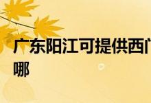 廣東陽(yáng)江可提供西門子熱水器維修服務(wù)地址在哪