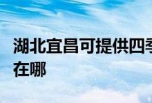 湖北宜昌可提供四季沐歌熱水器維修服務地址在哪