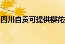 四川自貢可提供櫻花熱水器維修服務(wù)地址在哪