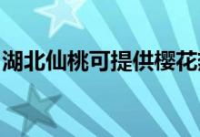 湖北仙桃可提供櫻花熱水器維修服務(wù)地址在哪