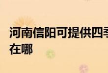 河南信陽可提供四季沐歌熱水器維修服務地址在哪