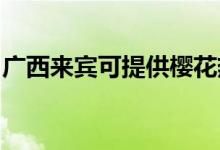 廣西來賓可提供櫻花熱水器維修服務(wù)地址在哪