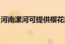 河南漯河可提供櫻花熱水器維修服務(wù)地址在哪
