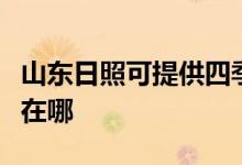 山東日照可提供四季沐歌熱水器維修服務地址在哪