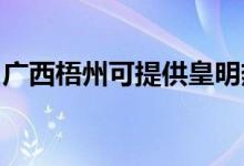 廣西梧州可提供皇明熱水器維修服務(wù)地址在哪