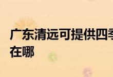 廣東清遠可提供四季沐歌熱水器維修服務地址在哪