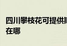 四川攀枝花可提供斯狄渢熱水器維修服務(wù)地址在哪