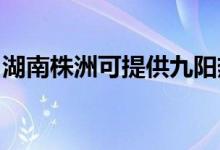 湖南株洲可提供九陽熱水器維修服務(wù)地址在哪