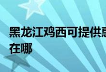 黑龍江雞西可提供惠而浦熱水器維修服務(wù)地址在哪
