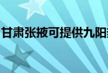 甘肅張掖可提供九陽熱水器維修服務(wù)地址在哪