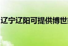 遼寧遼陽可提供博世熱水器維修服務(wù)地址在哪