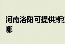 河南洛陽可提供斯狄渢熱水器維修服務(wù)地址在哪