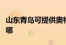 山東青島可提供奧特朗熱水器維修服務(wù)地址在哪