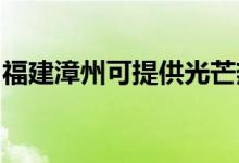 福建漳州可提供光芒熱水器維修服務(wù)地址在哪
