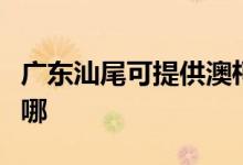 廣東汕尾可提供澳柯瑪熱水器維修服務(wù)地址在哪