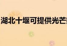 湖北十堰可提供光芒熱水器維修服務(wù)地址在哪