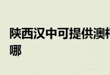 陜西漢中可提供澳柯瑪熱水器維修服務(wù)地址在哪