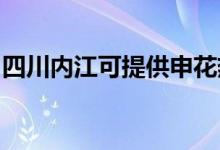 四川內(nèi)江可提供申花熱水器維修服務(wù)地址在哪