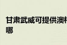甘肅武威可提供澳柯瑪熱水器維修服務(wù)地址在哪