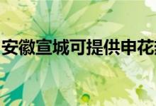 安徽宣城可提供申花熱水器維修服務(wù)地址在哪