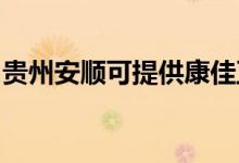 貴州安順可提供康佳豆?jié){機(jī)維修服務(wù)地址在哪