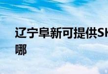 遼寧阜新可提供SKG電水壺維修服務(wù)地址在哪
