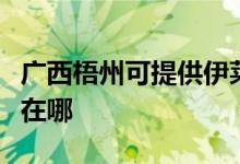 廣西梧州可提供伊萊克斯熱水器維修服務(wù)地址在哪