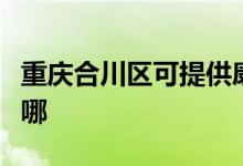 重慶合川區(qū)可提供康佳豆?jié){機(jī)維修服務(wù)地址在哪