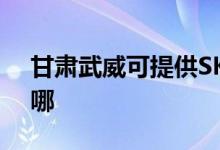 甘肅武威可提供SKG電水壺維修服務(wù)地址在哪