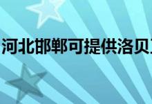 河北邯鄲可提供洛貝豆?jié){機(jī)維修服務(wù)地址在哪