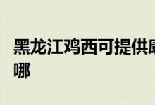 黑龍江雞西可提供康佳豆?jié){機(jī)維修服務(wù)地址在哪